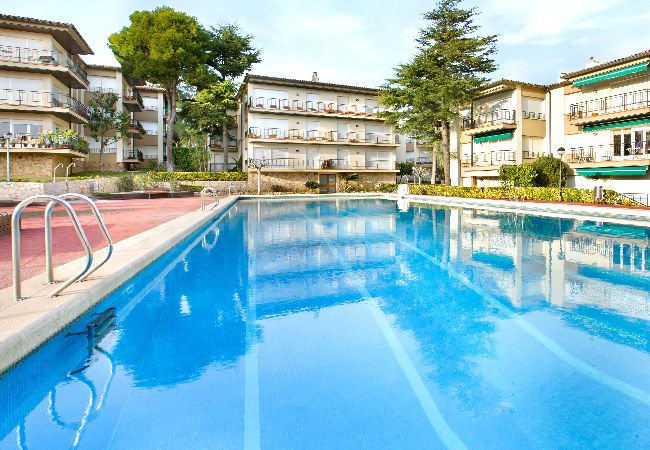  in Calella de Palafrugell - 1MG G2 - Basic 2 bedroom apartment with communal swimming pool  located 400m from the beach of Calella de Palafrugell,